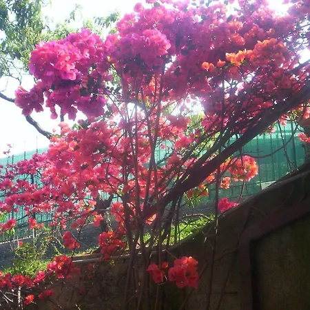 Le Gardenie Da Fil Bed & Breakfast Bordighera