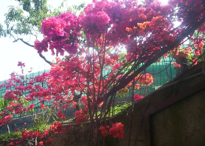 Le Gardenie Da Fil Bed and Breakfast Bordighera